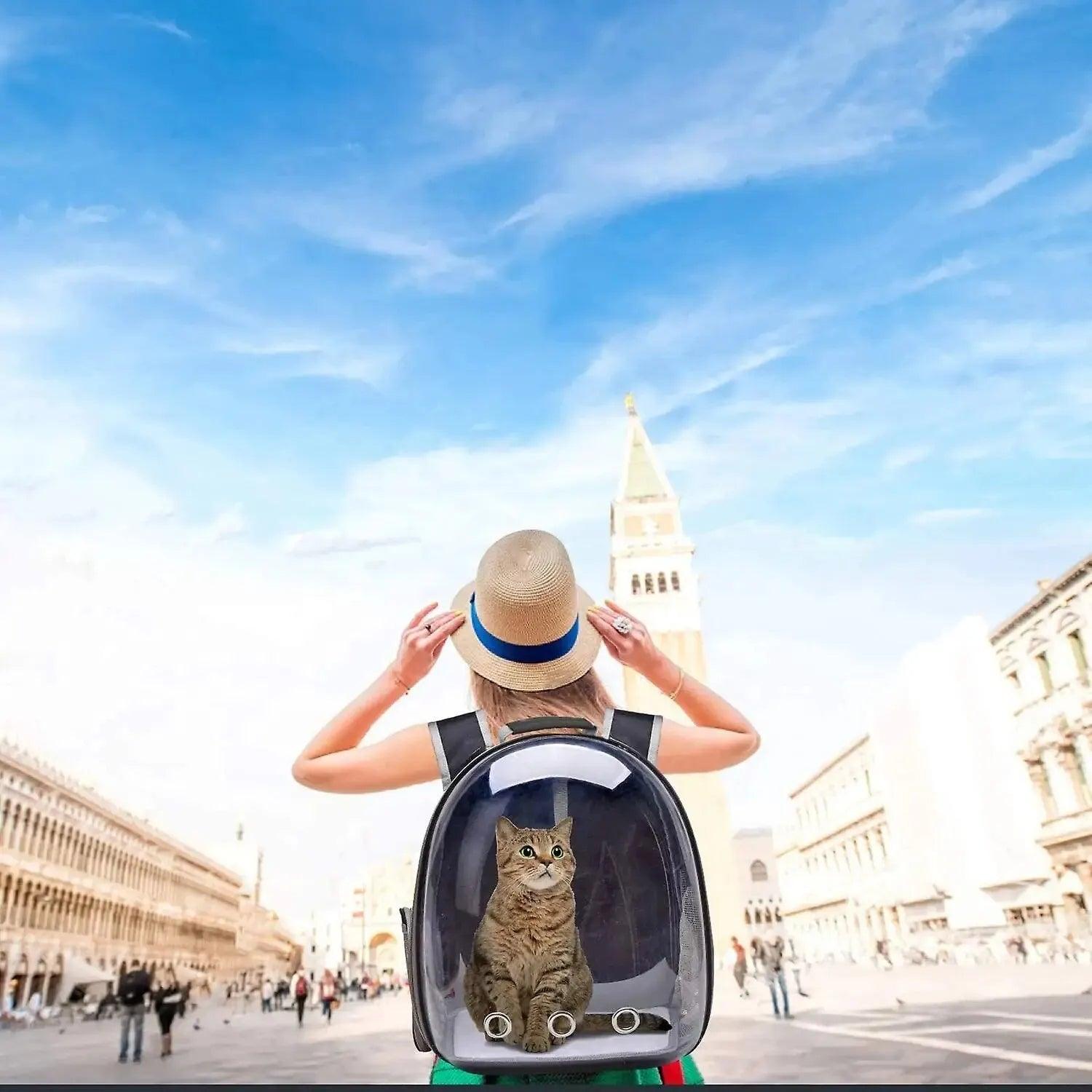 Pet Carrier Backpack Transparent Capsule