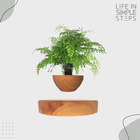 Magnetic Floating Bonsai Pot