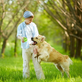 Pet Interactive Rubber Balls - Life in Simple Steps