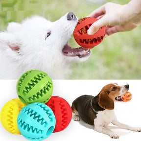 Pet Interactive Rubber Balls - Life in Simple Steps