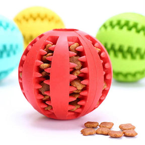 Pet Interactive Rubber Balls - Life in Simple Steps