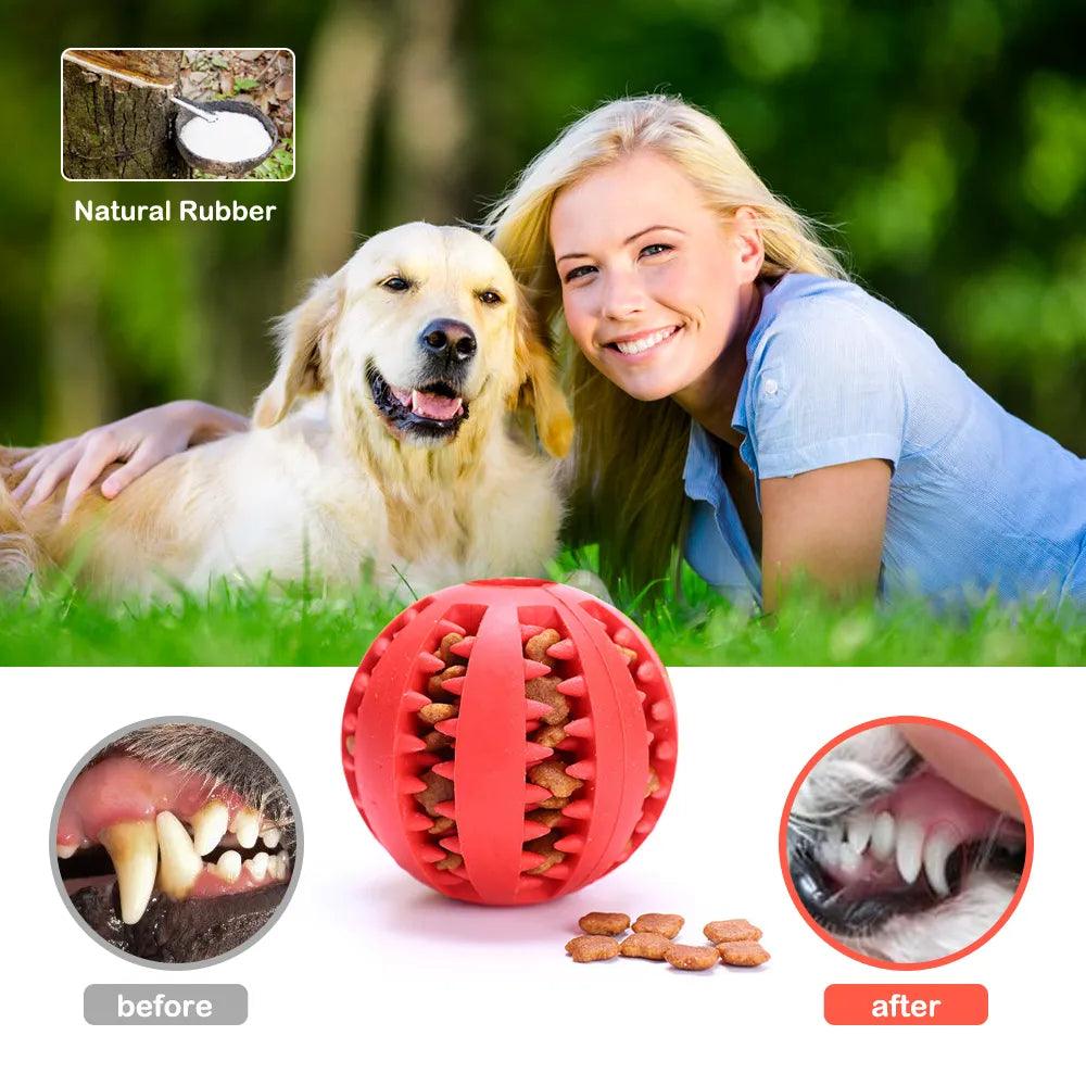 Pet Interactive Rubber Balls - Life in Simple Steps