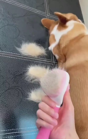 Pet Hair Remover Brush - Comb Self Cleaning