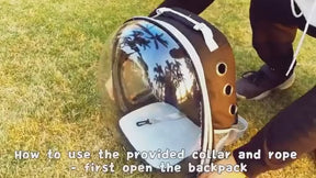 Pet Carrier Backpack Transparent Capsule