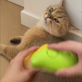 Cat Steam Brush - Hair Removal